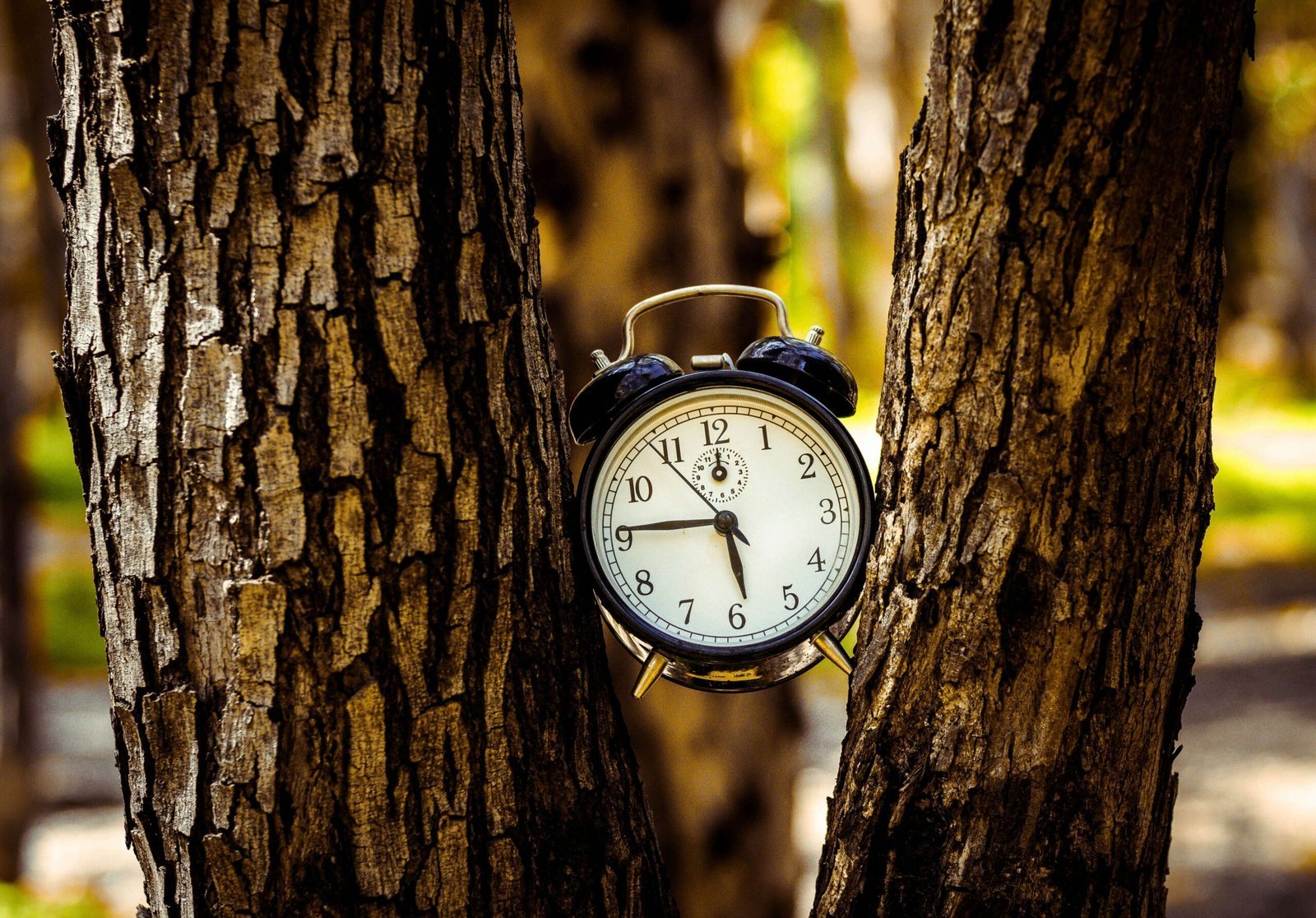 Ritmul circadian: ceasul intern al corpului tău