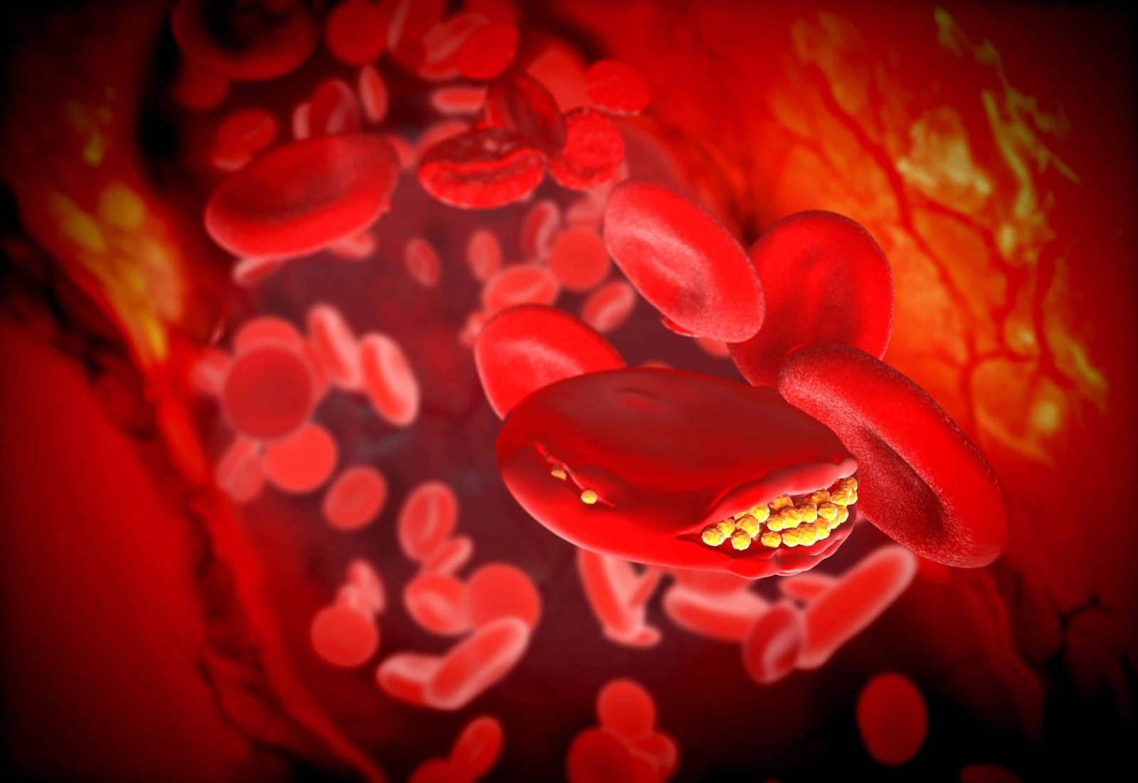 Colesterolul – între mit și adevăr științific