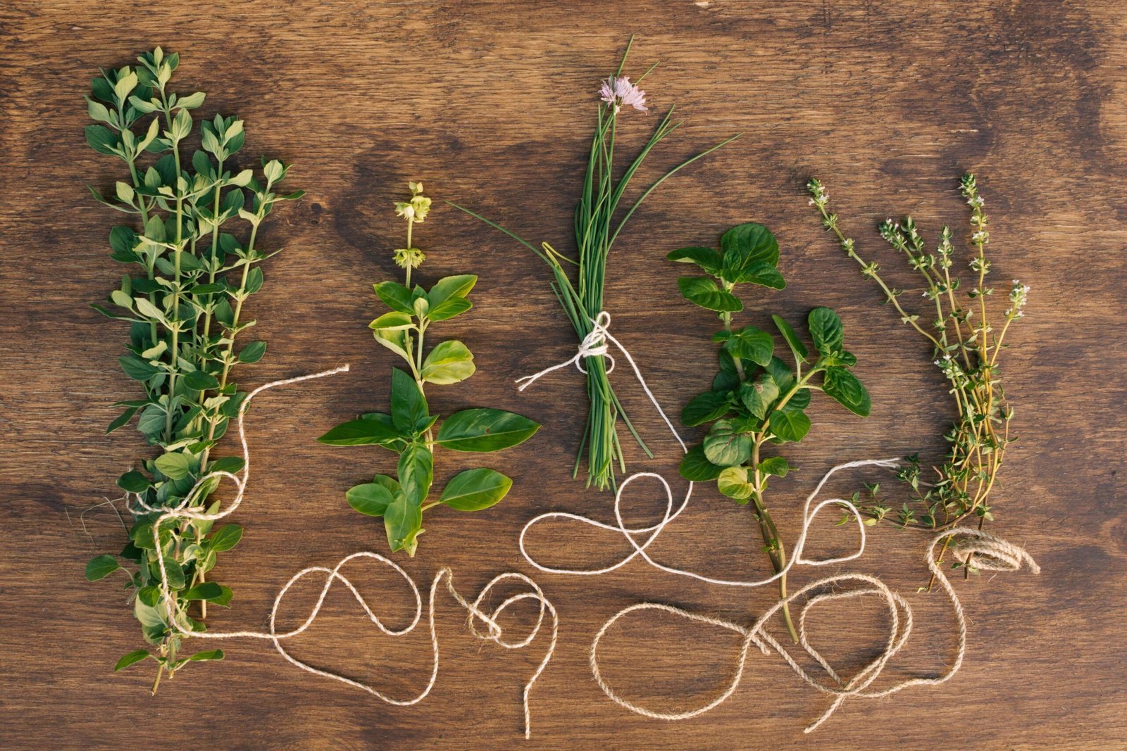 7 plante care au schimbat lumea