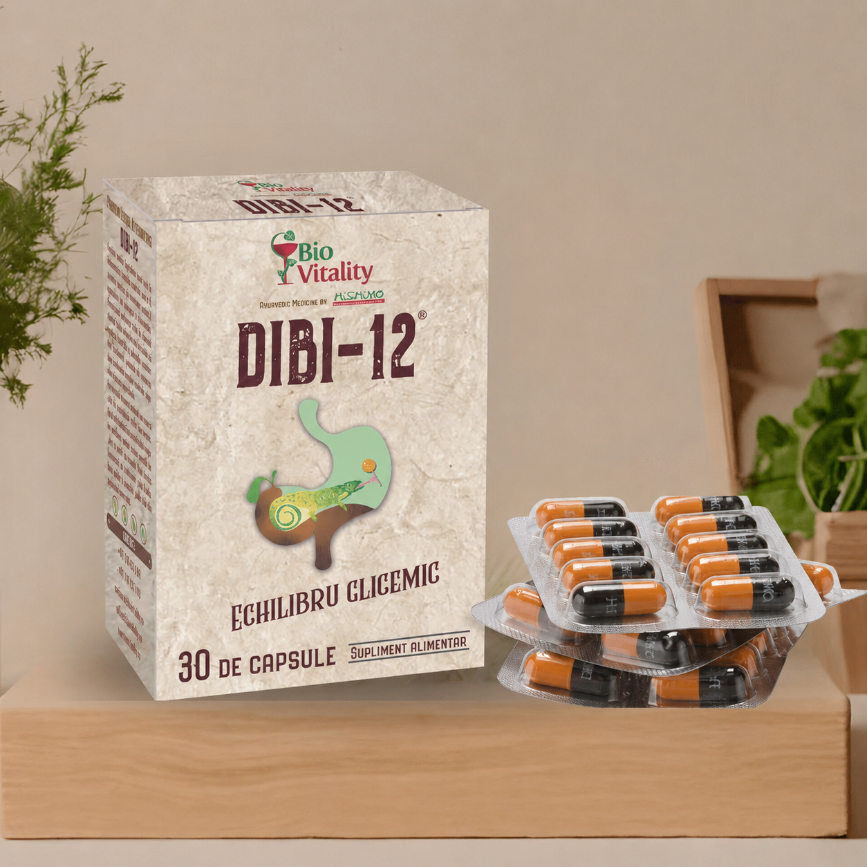 Dibi-12