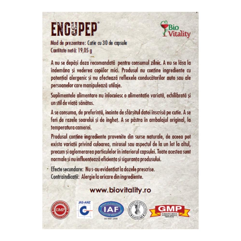Engypep capsule